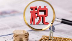 背对着张明：“税务稽查